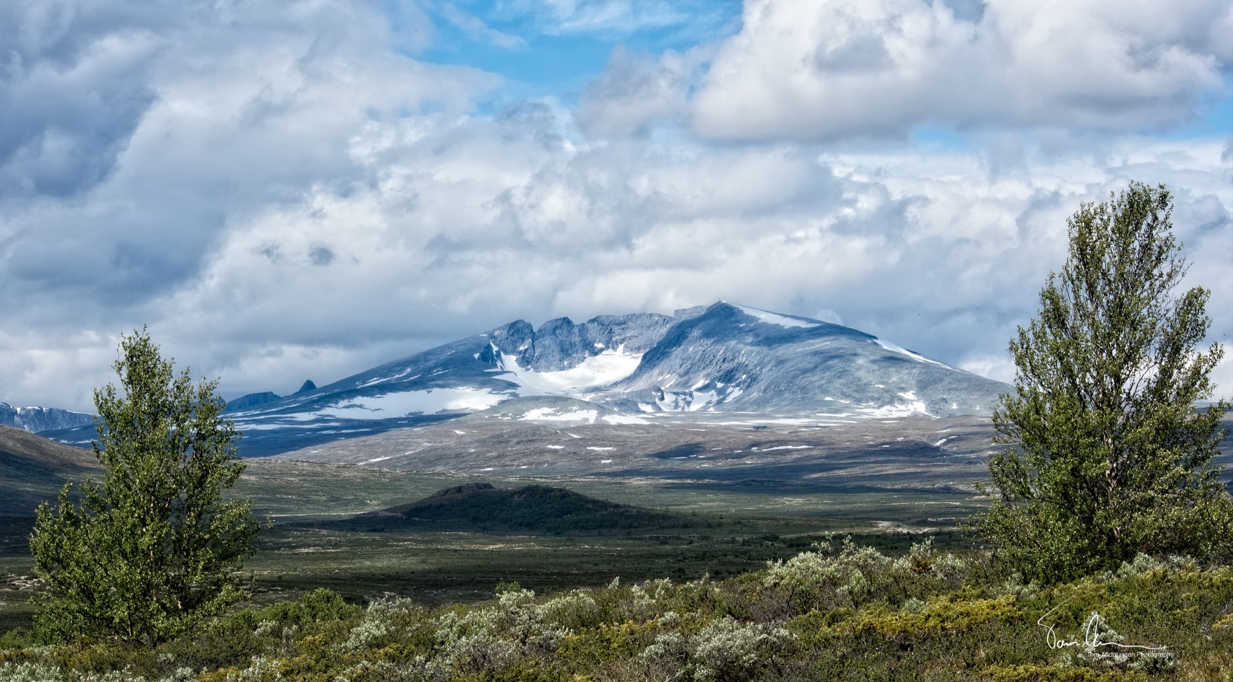 Dovrefjell